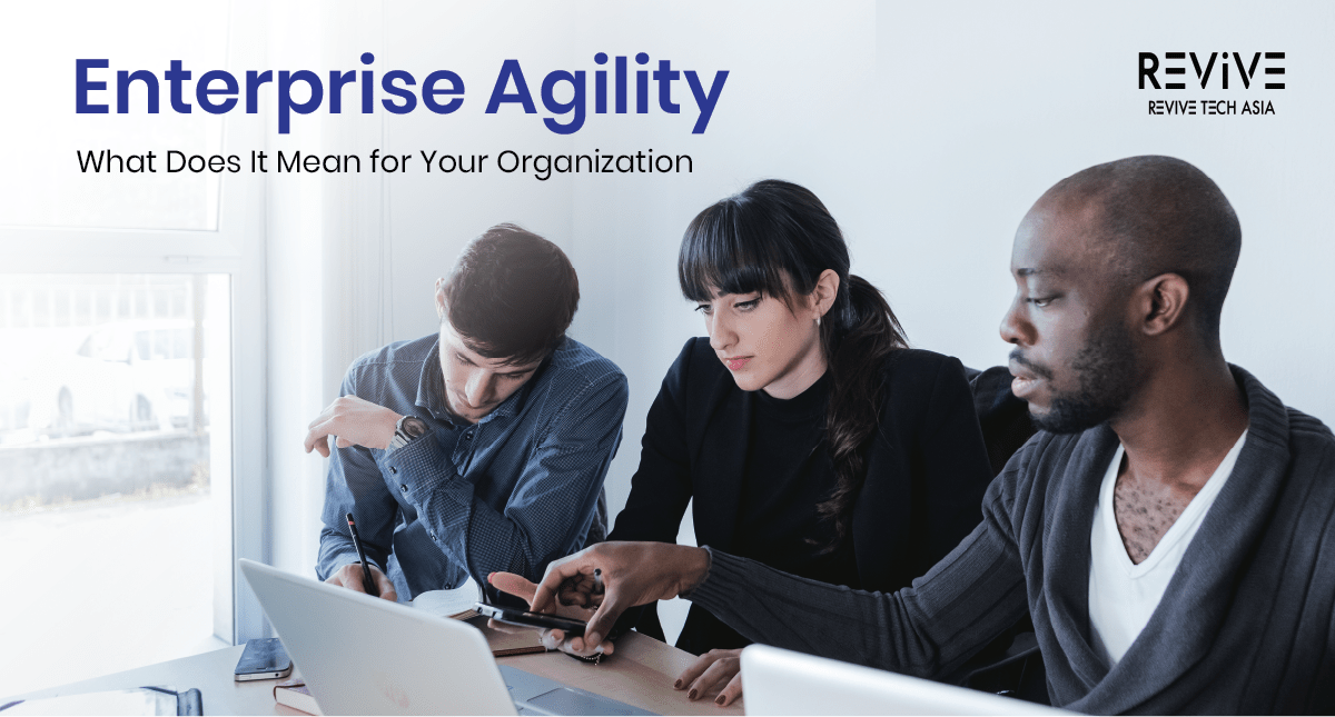 Driving Customer Value and Innovation with Enterprise Agility